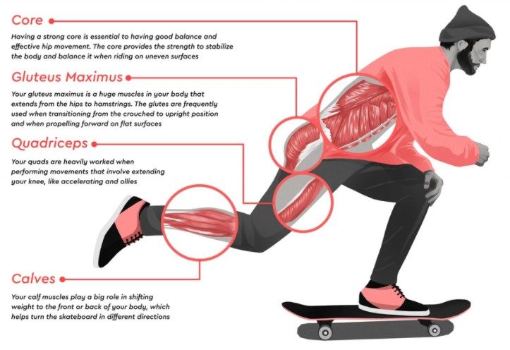 What Muscles Does skateboarding Work